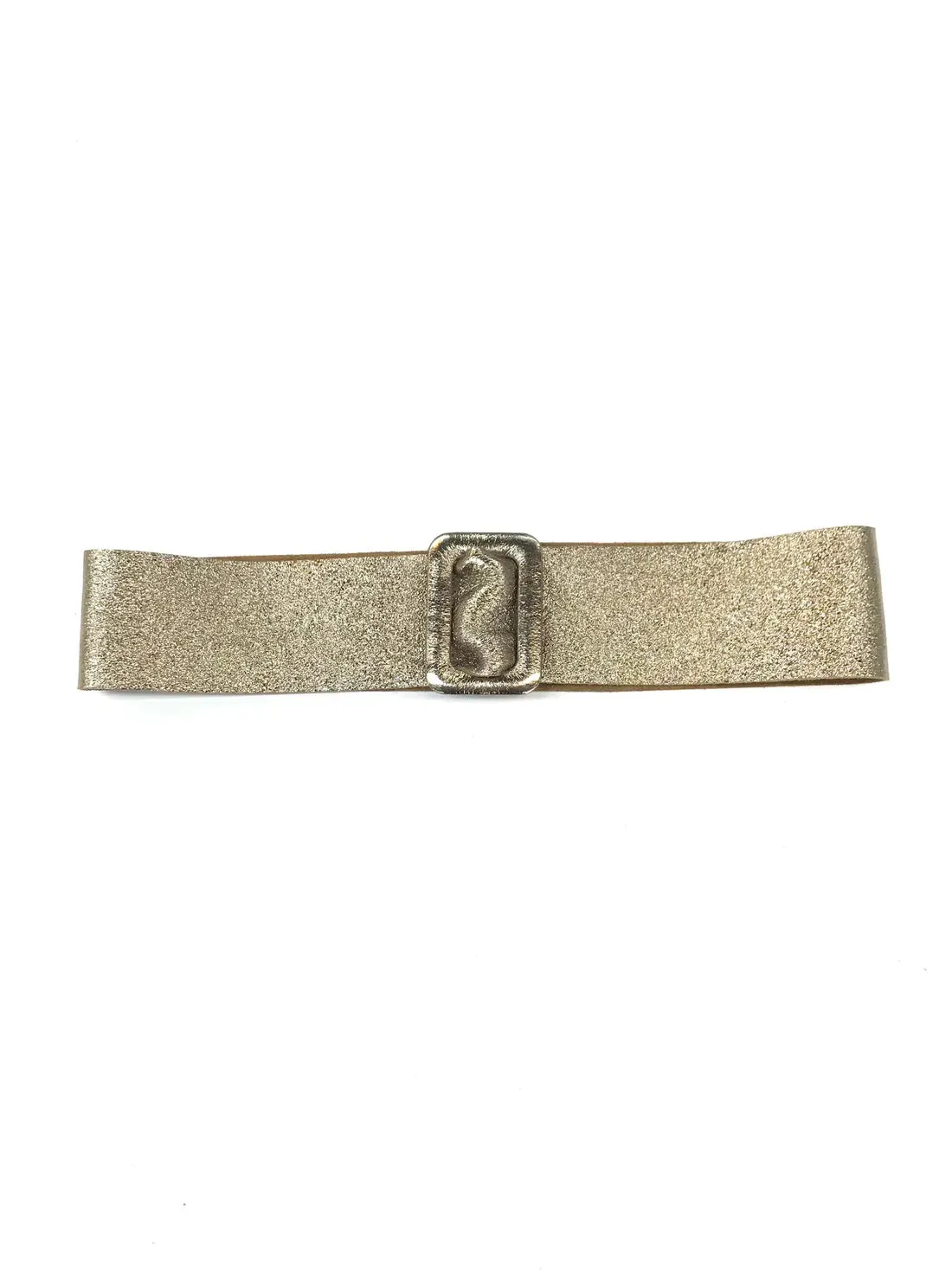 Shine on Harvest leather Belt